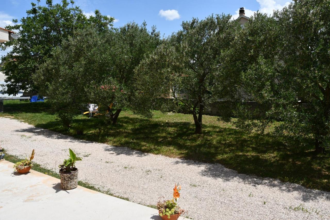 Apartmani Joja بيوغْغاد نا موغو المظهر الخارجي الصورة