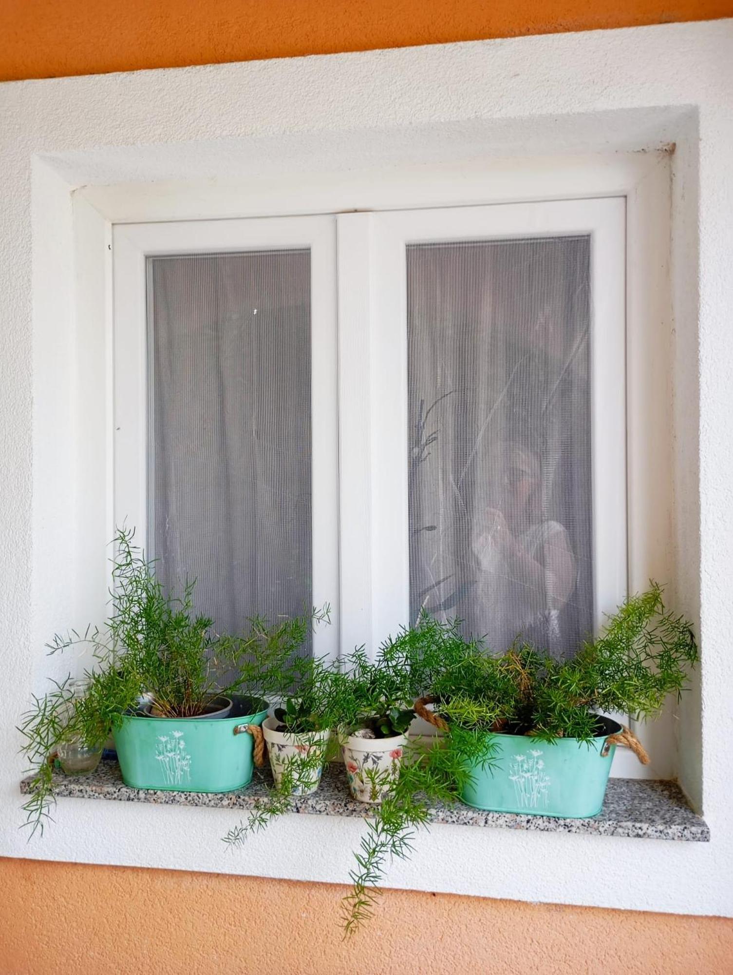 Apartmani Joja بيوغْغاد نا موغو المظهر الخارجي الصورة